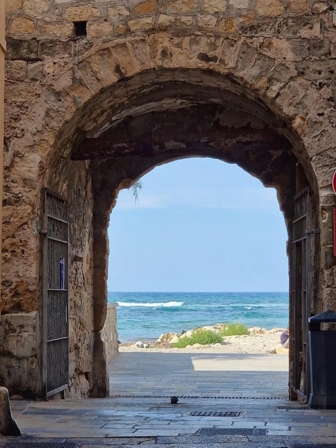 La Casa Di Paoletta A Due Passi Dal Mare Διαμέρισμα Τράπανι Εξωτερικό φωτογραφία